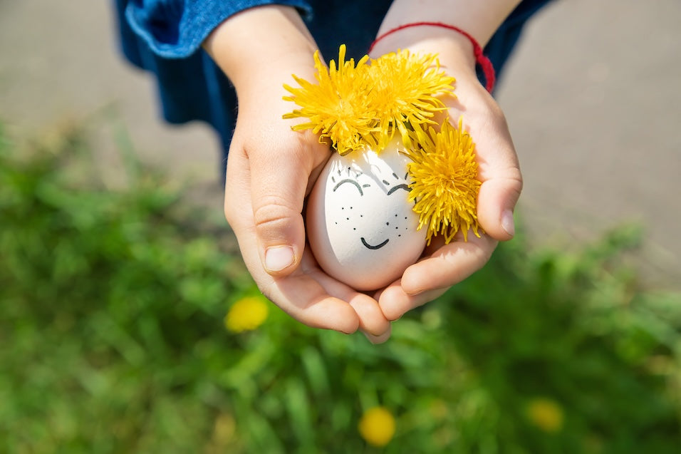 The Egg Retrieval: What to Expect