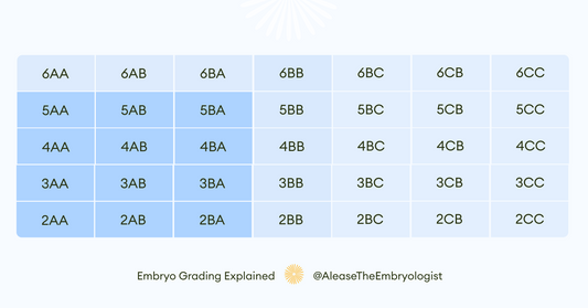 Understanding Embryo Grading: What It Means for IVF Success