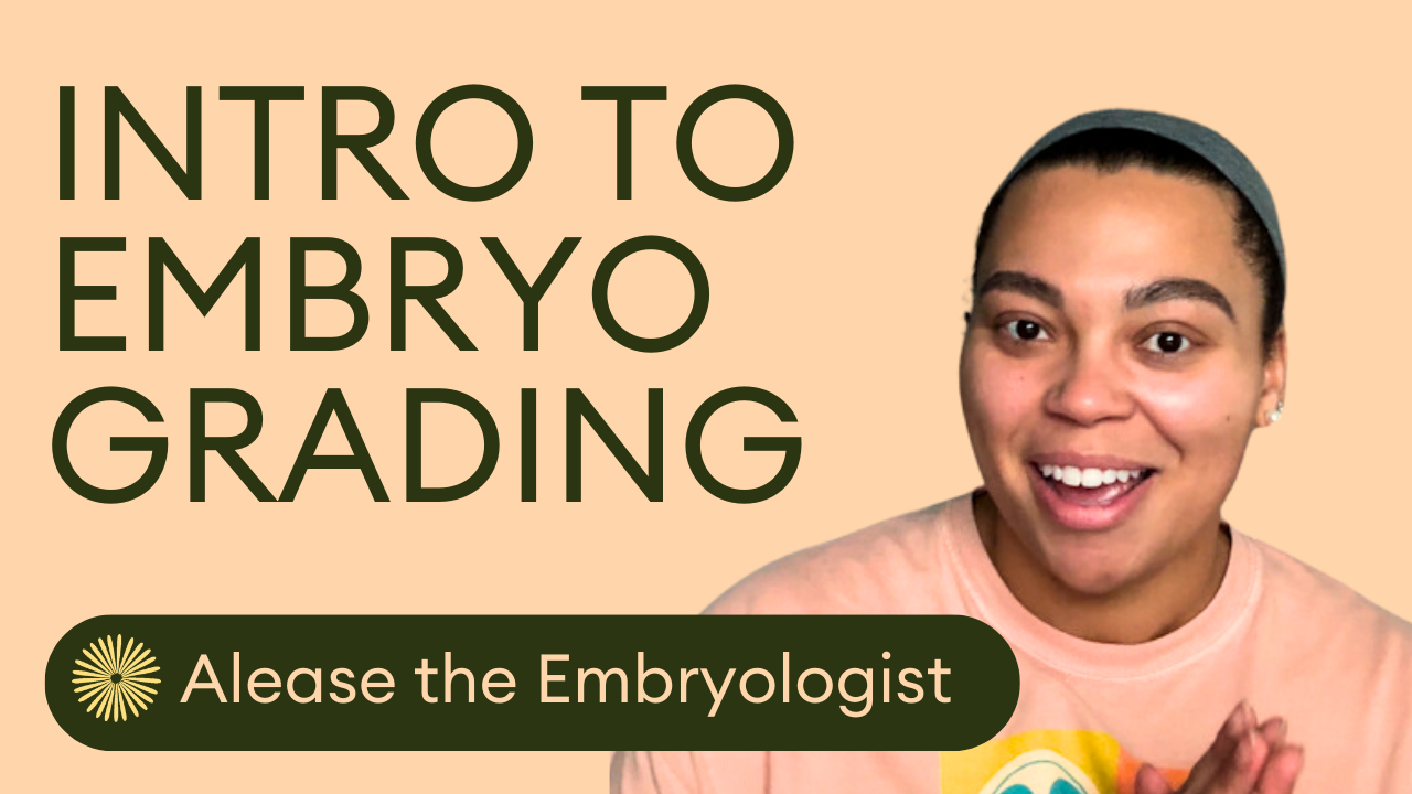 Embryologist Teaches Us How To Grade Embryos